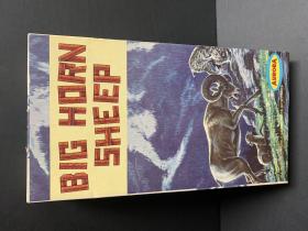 Click to see details